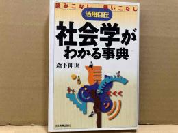 社会学がわかる事典　活用自在