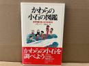 かわらの小石の図鑑　日本列島の生い立ちを考える