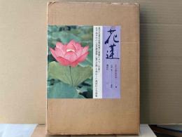 花蓮