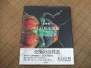［超微細〕　美しい昆虫図鑑
