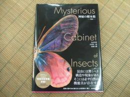 神秘の標本箱ー昆虫ー
