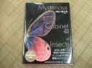 神秘の標本箱ー昆虫ー
