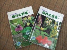 福井県植物図鑑②　福井の野草
