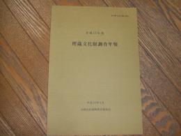 平成１７年度　埋蔵文化財調査年報
