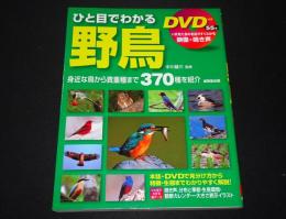 ひと目でわかる野鳥
