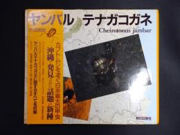 ヤンバルテナガコガネ