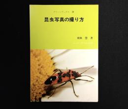 昆虫写真の撮り方