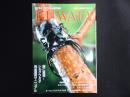 Kuwata: クワガタ・カブトムシ専門雑誌