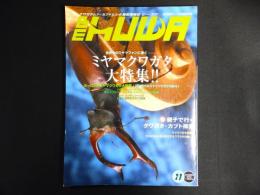 ミヤマクワガタ大特集!!