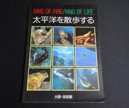 太平洋を散歩する : Ring of fire/ring of life