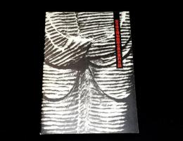 岩手県立博物館総合展示資料目録