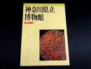 神奈川県立博物館総合案内