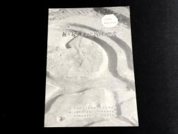 巡回展　掘り起こされた坂田の歴史　（滋賀県坂田郡）