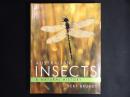 【洋書】Australian Insects: A Natural History