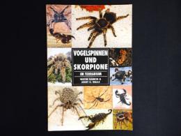 【洋書】Vogelspinnen und Skorpione im Terrarium