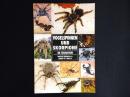 【洋書】Vogelspinnen und Skorpione im Terrarium