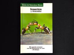 【洋書】 Insectos y aracnidos