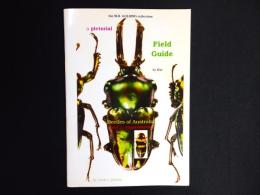 【洋書】A Pictorial Field Guide to the Beetles of Australia. Part 1: Stigmoderini