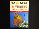 【洋書】Complete Field Guide to Butterflies of Australia