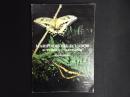【洋書】Mariposas del Ecuador, Volume 10a: Papilionidae