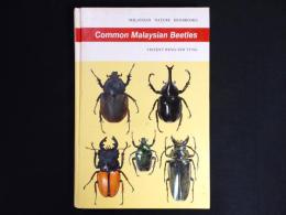 Common Malaysian Beetles 
