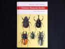 Common Malaysian Beetles 