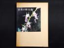 日本の野生蘭
