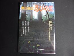 戦国風雲　忍びの里