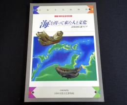開館1周年記念特別展　海を渡って来た人と文化 : 古代日本と東アジア