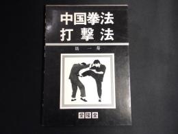 中国拳法打撃法