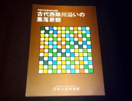 平成22年度秋季企画展　古代西除川沿いの集落景観