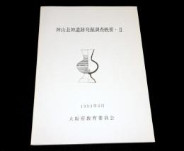 神山丑神遺跡発掘調査概要