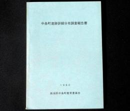 中条町遺跡詳細分布調査報告書