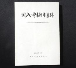川入・中撫川遺跡 : 吉備中枢地における港湾遺跡の発掘調査報告