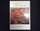 安土城1989～1998 : 特別史跡安土城跡発掘調査の10年