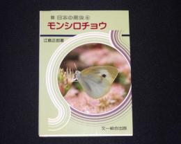 モンシロチョウ　日本の昆虫