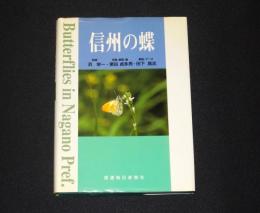 信州の蝶