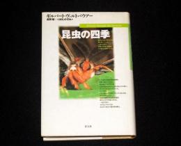 昆虫の四季