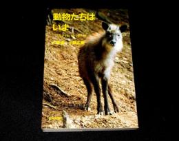動物たちはいま　失われゆく野性