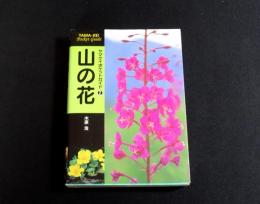 山の花