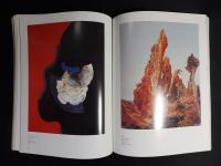 シュプレンゲル美術館名品展 : 20世紀美術のクラシック・モダン