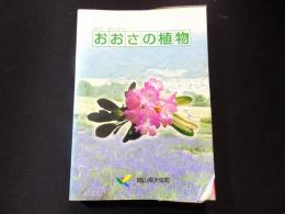 おおさの植物　（岡山県大佐町）