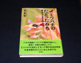 ミツバチのたどったみち : 進化の比較社会学