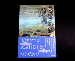 天然アユが育つ川