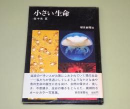 小さい生命