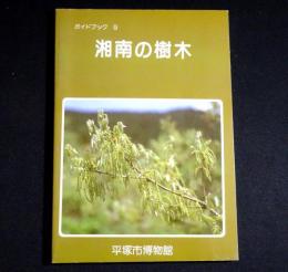 湘南の樹木