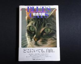 ブルース・キャット