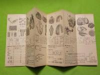 折リ畳ミ式　　女子人体解剖圖