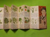 折リ畳ミ式　　女子人体解剖圖