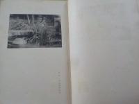 回顧十年（青甲社）～靑展畫稿及スケッチ集